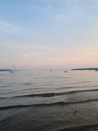 Town Foot Log Park - Charlestown, MD