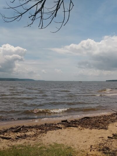 Town Foot Log Park - Charlestown, MD