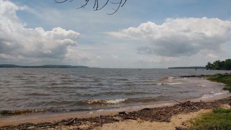 Town Foot Log Park - Charlestown, MD