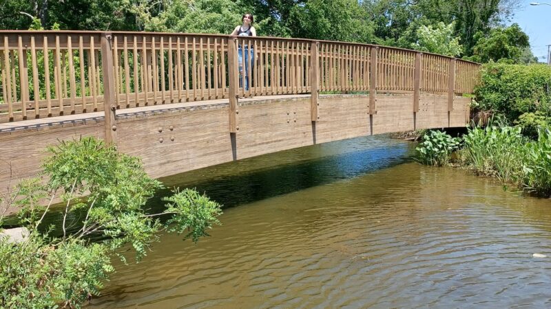 Town Foot Log Park - Charlestown, MD