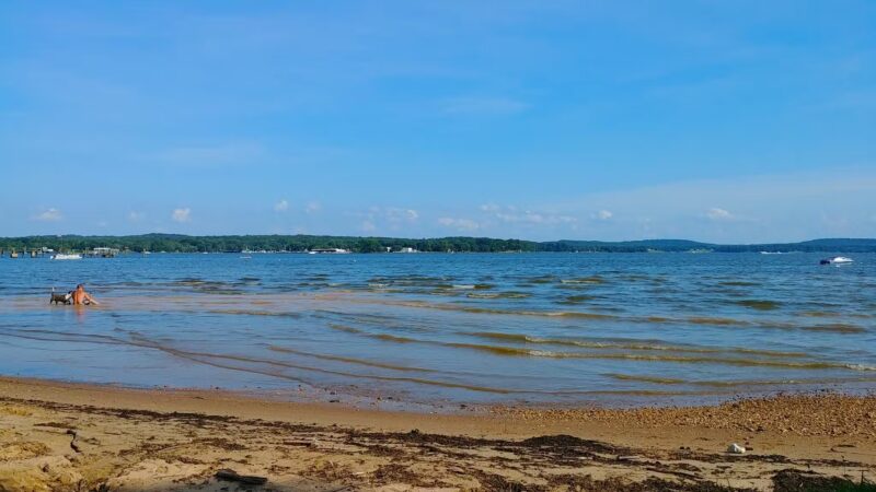 Town Foot Log Park - Charlestown, MD