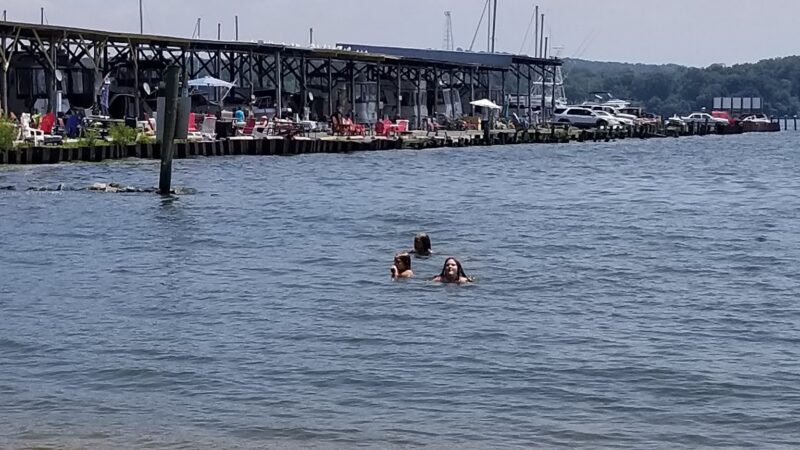 Veterans Park - Charlestown, MD