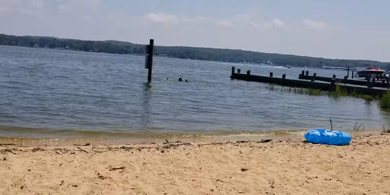 Veterans Park - Charlestown, MD