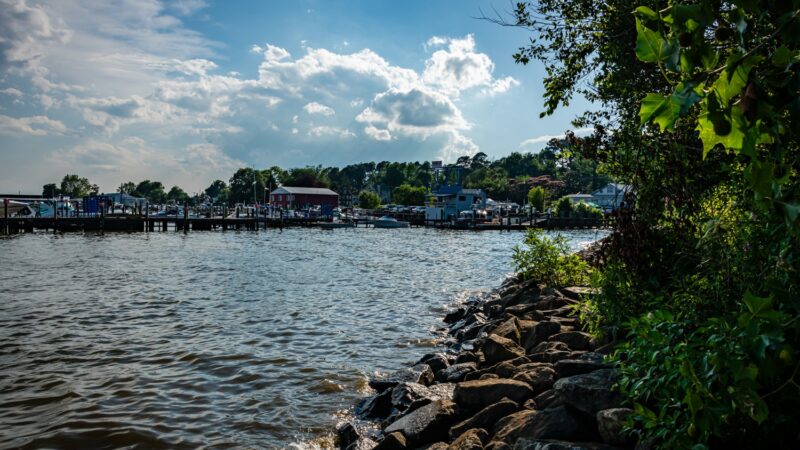 Avalon Park & Stage in Charlestown - Charlestown, MD