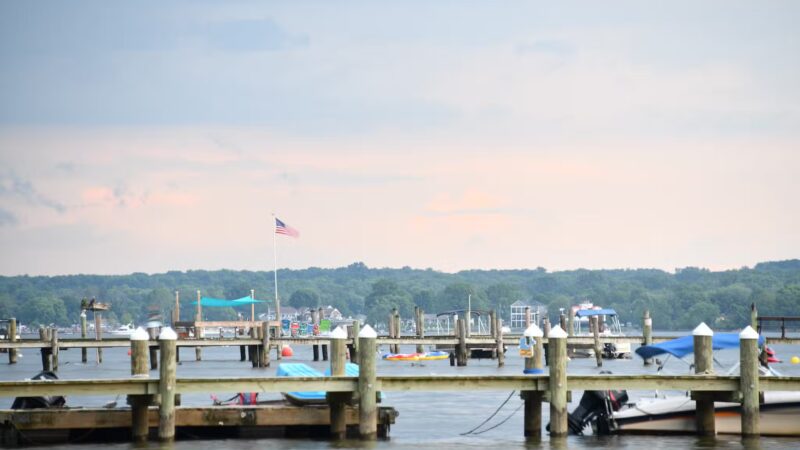 Avalon Park & Stage in Charlestown - Charlestown, MD