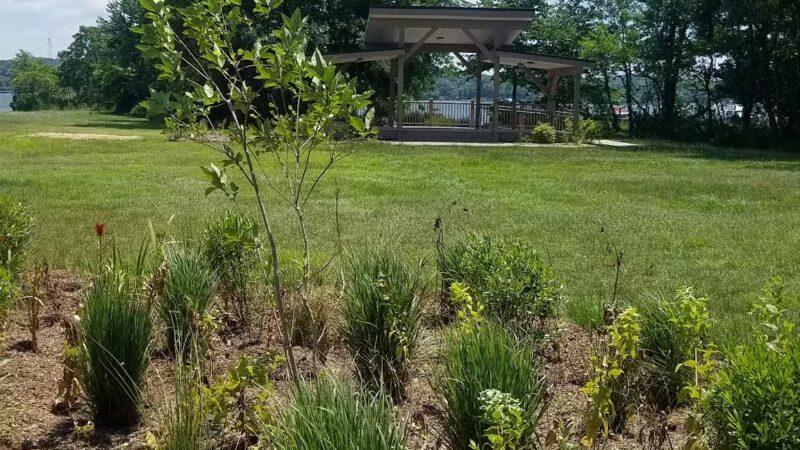 Avalon Park & Stage in Charlestown - Charlestown, MD