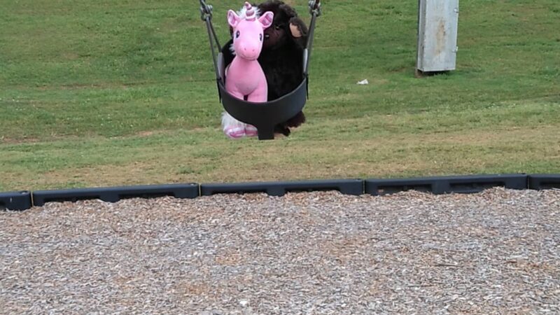 Abbott Park - Charlotte, NC