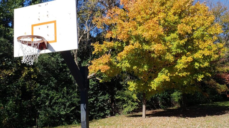 Abbott Park - Charlotte, NC