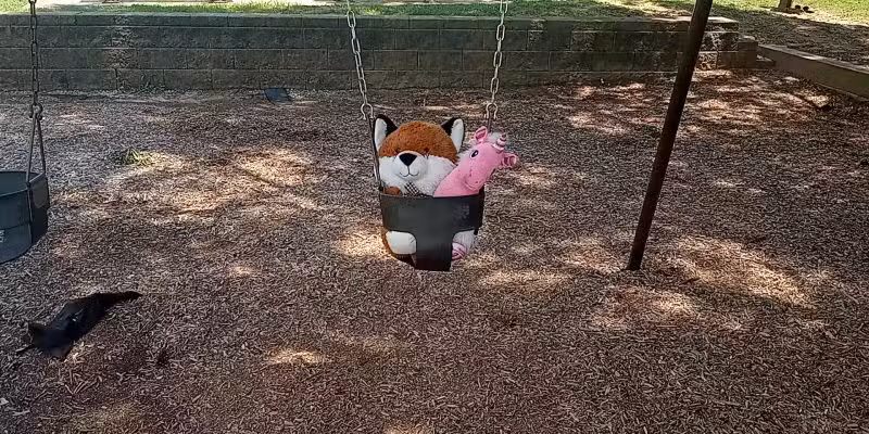 Cherry Park - Charlotte, NC