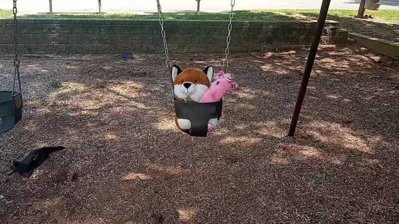 Cherry Park - Charlotte, NC