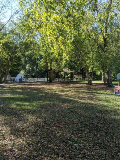 Collins Park - Charlotte, NC