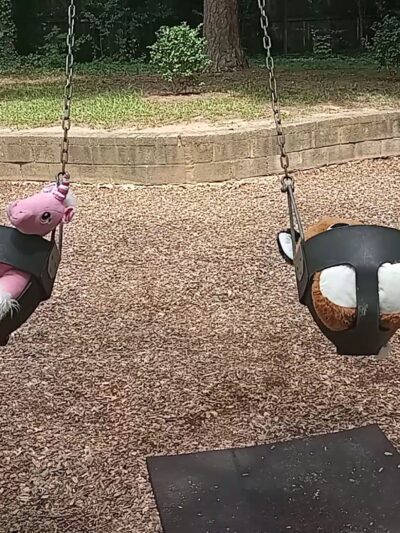 Collins Park - Charlotte, NC