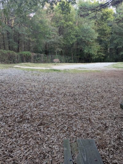 Dog Park - Charlotte, NC
