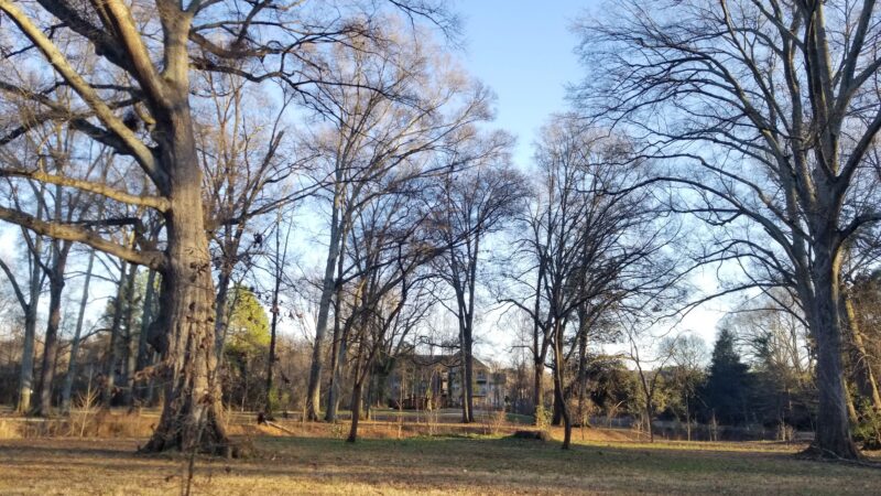 Eastover Park - Charlotte, NC