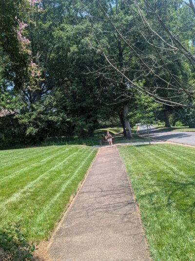 Edgehill Park - Charlotte, NC