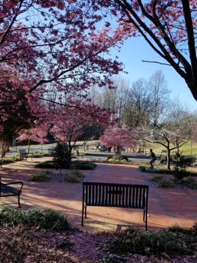 Frazier Park - Charlotte, NC