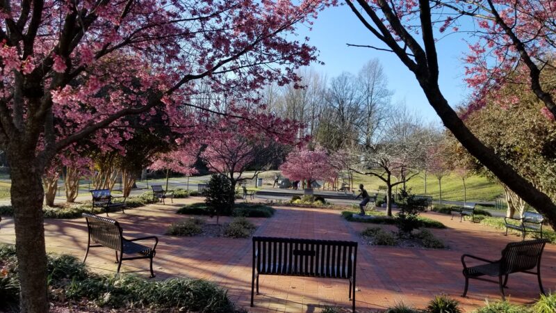 Frazier Park - Charlotte, NC