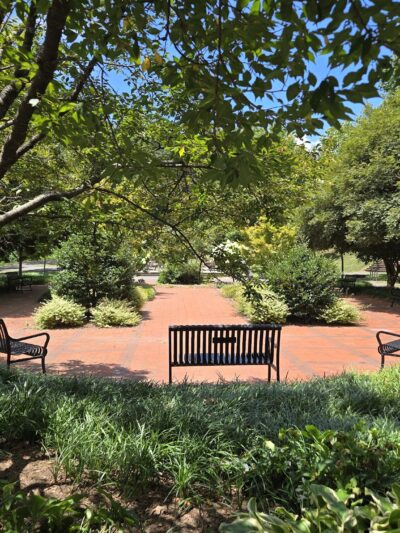Frazier Park - Charlotte, NC