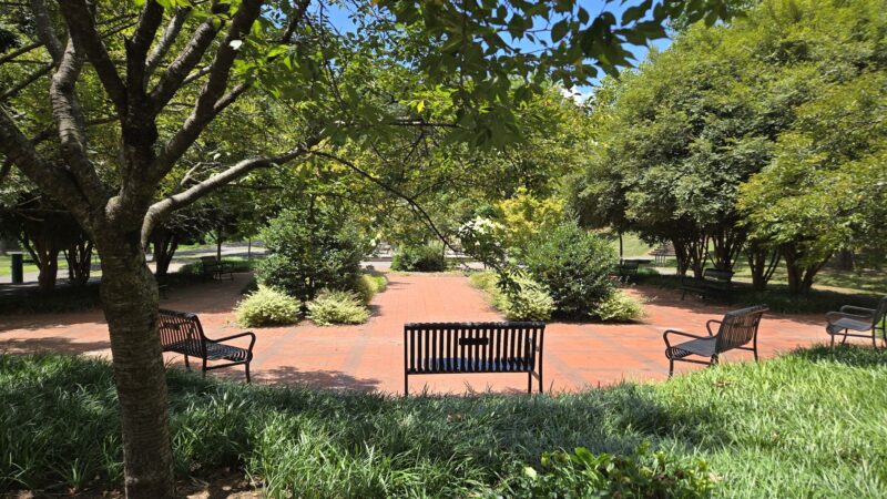Frazier Park - Charlotte, NC