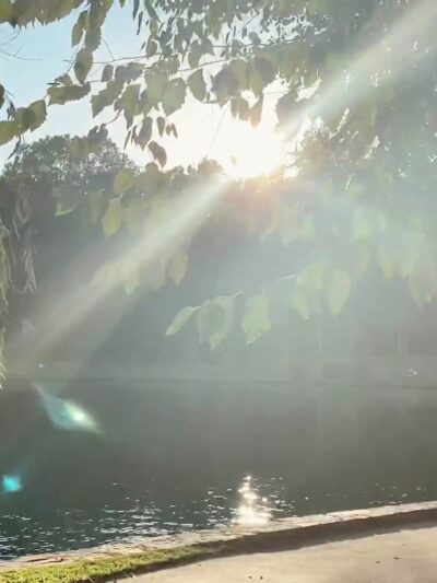 Freedom Park - Charlotte, NC