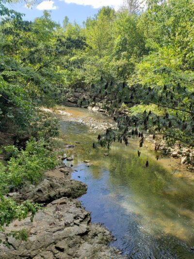 Freedom Park - Charlotte, NC