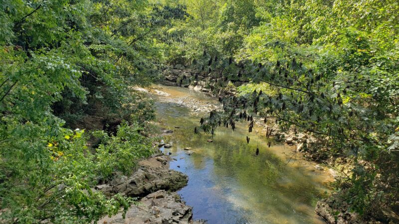 Freedom Park - Charlotte, NC