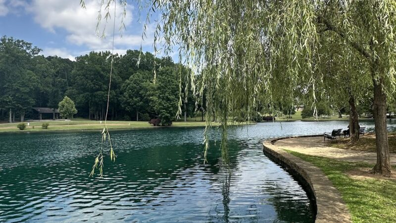 freedom park - Charlotte, NC