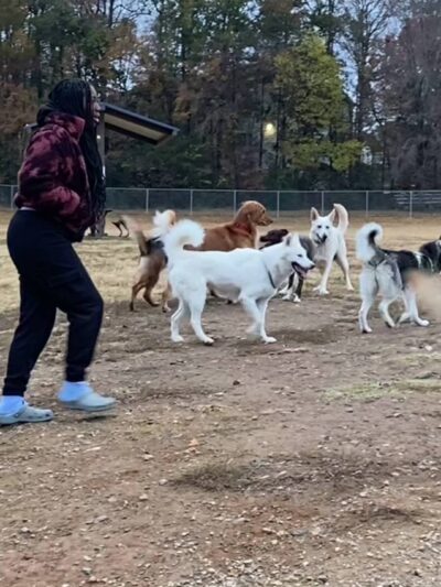 McAlpine Creek Dog Park - Charlotte, NC