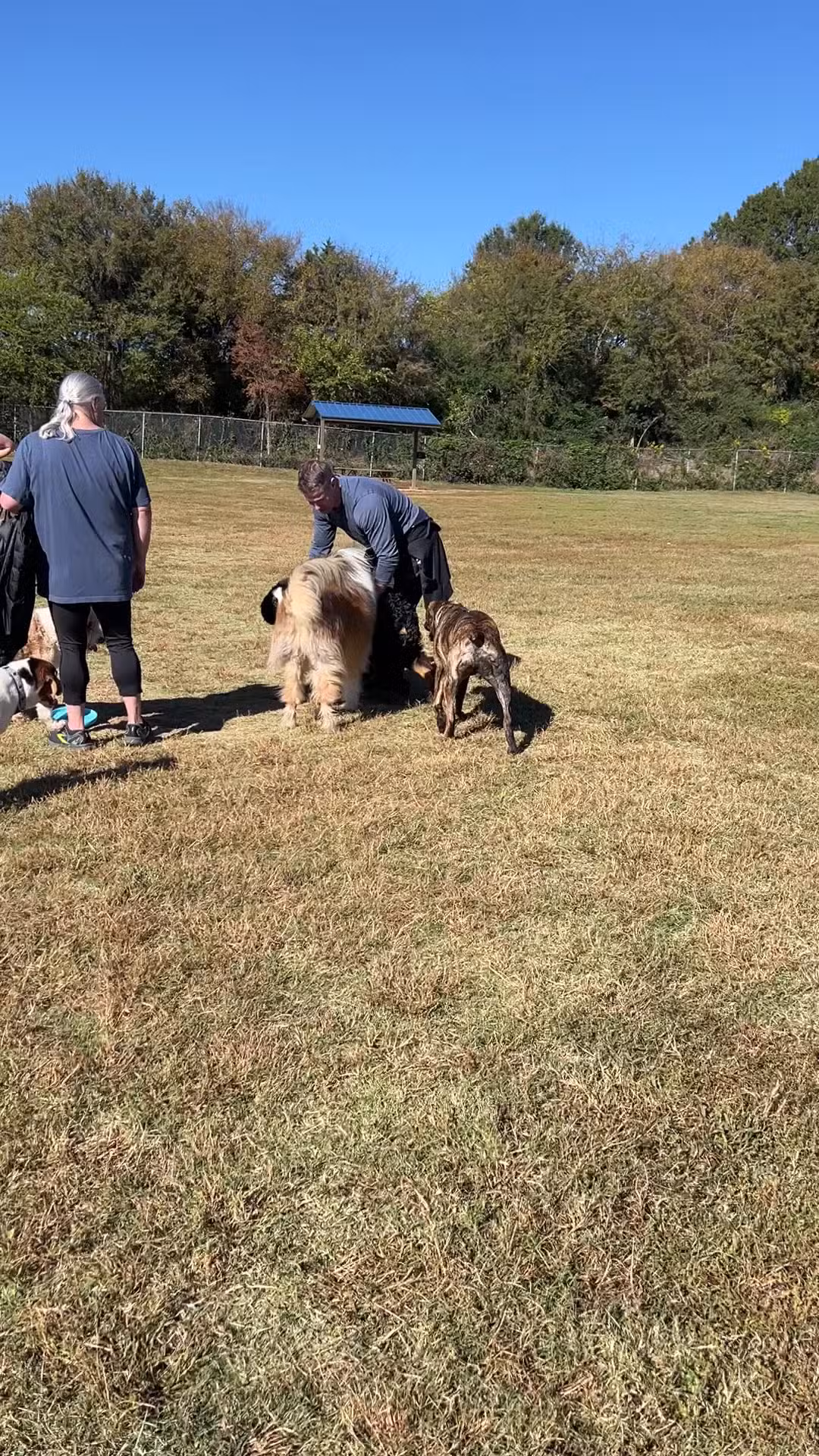 McAlpine Creek Dog Park - Charlotte, NC