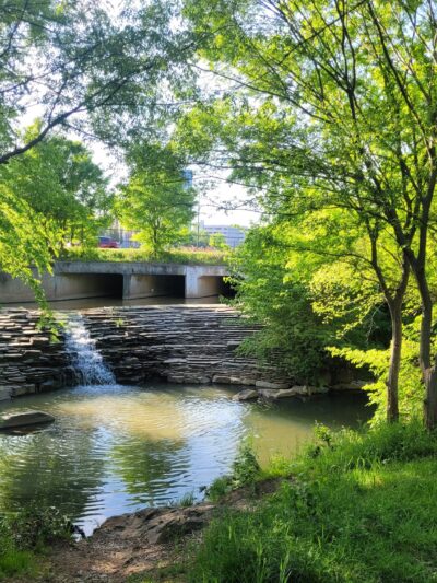 Midtown Park - Charlotte, NC