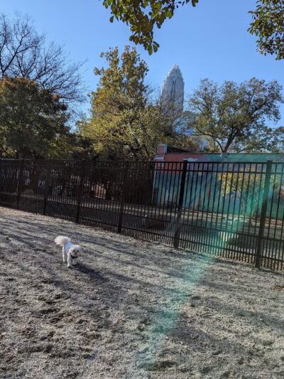 Ninth Street Dog Park - Charlotte, NC