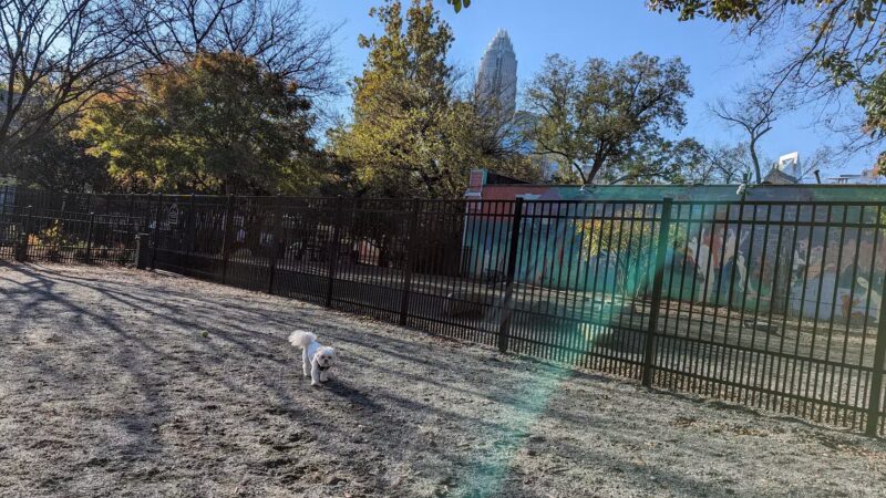Ninth Street Dog Park - Charlotte, NC
