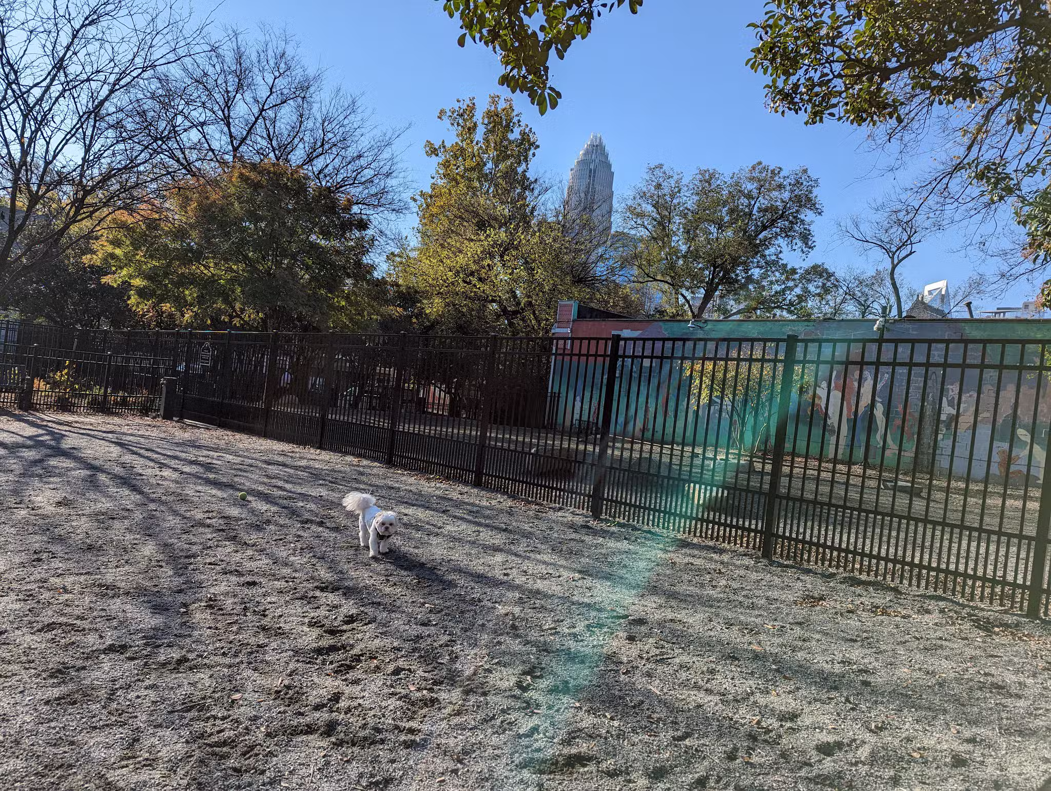 Ninth Street Dog Park - Charlotte, NC