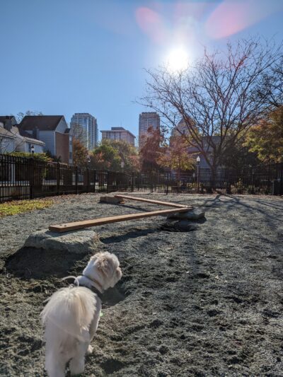 Ninth Street Dog Park - Charlotte, NC