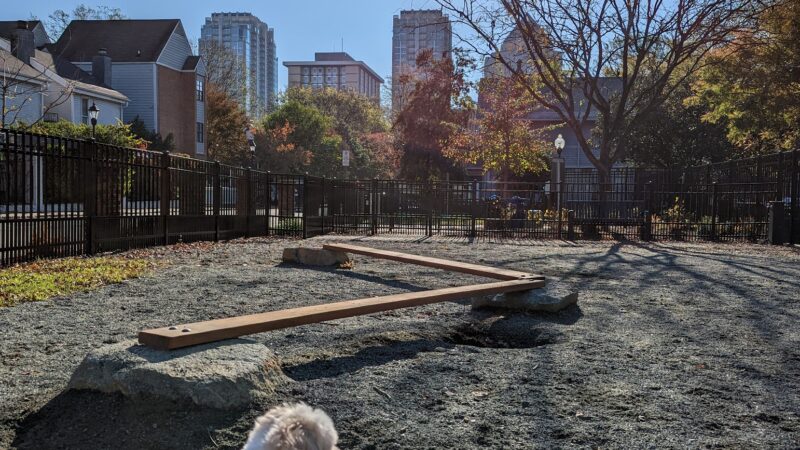 Ninth Street Dog Park - Charlotte, NC