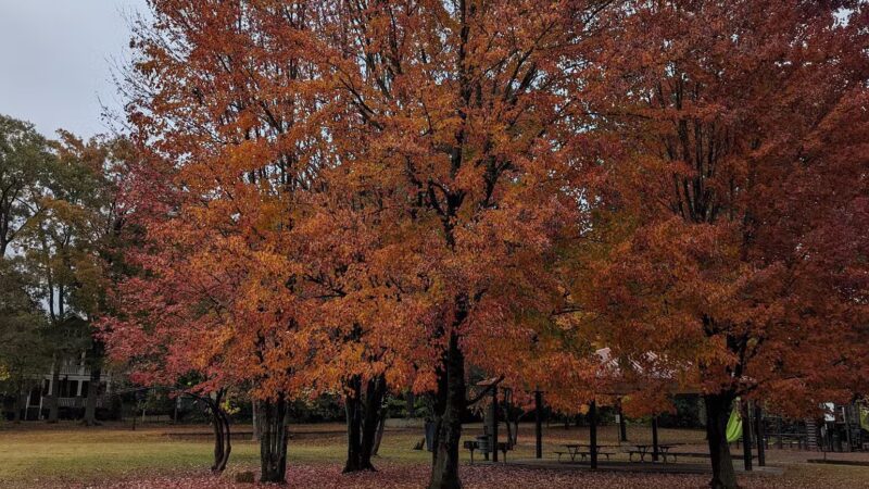 North Charlotte Park - Charlotte, NC