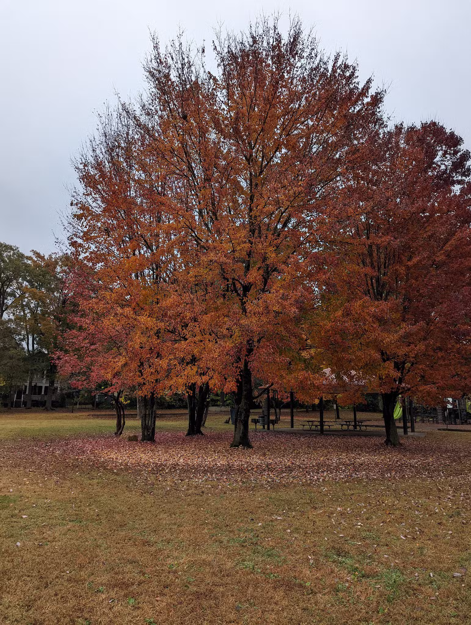 North Charlotte Park - Charlotte, NC