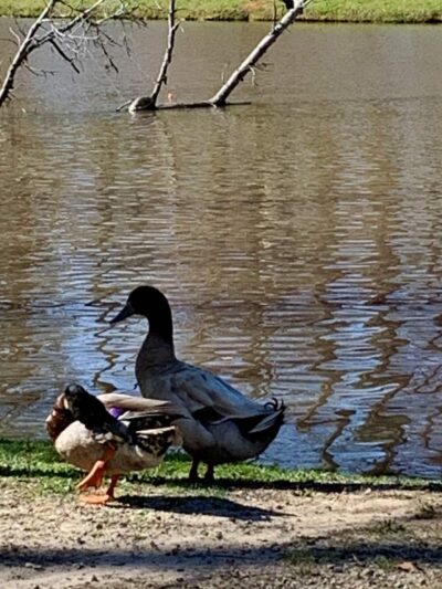 Park Road Park - Charlotte, NC
