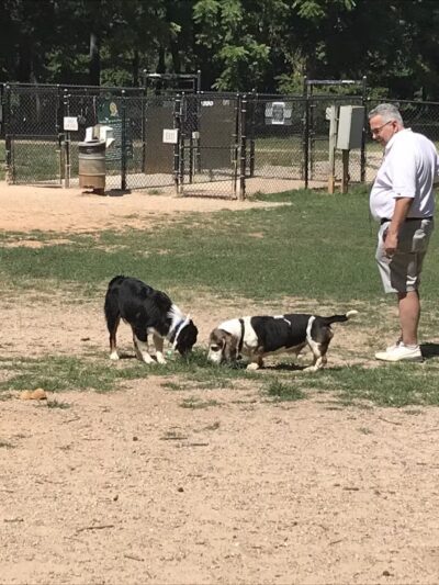 Reedy Creek Park Dog Park - Charlotte, NC