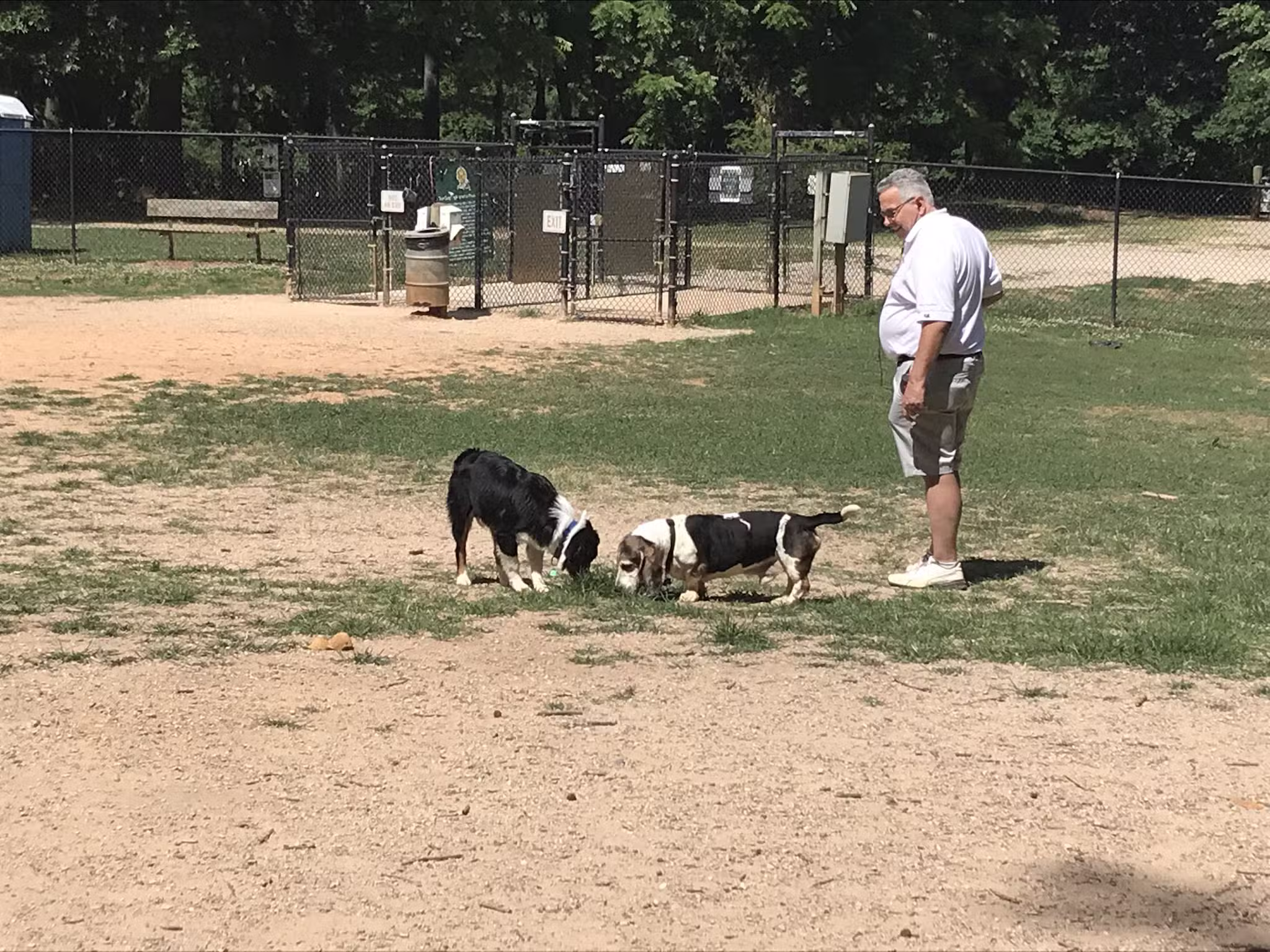 Reedy Creek Park Dog Park - Charlotte, NC