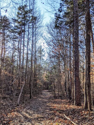 Reedy Creek Park Dog Park - Charlotte, NC