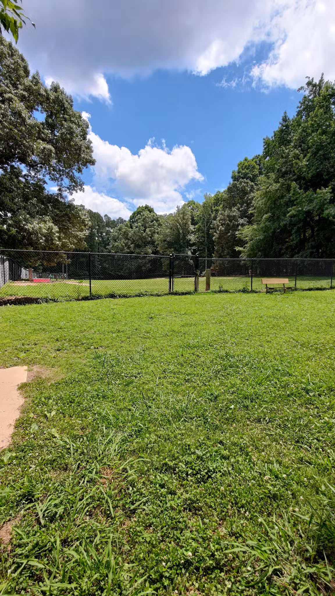 Reedy Creek Park Dog Park - Charlotte, NC