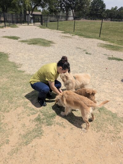 Renaissance Dog Park - Charlotte, NC