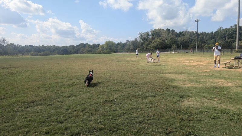 Renaissance Dog Park - Charlotte, NC