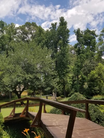 Sedgefield Park - Charlotte, NC