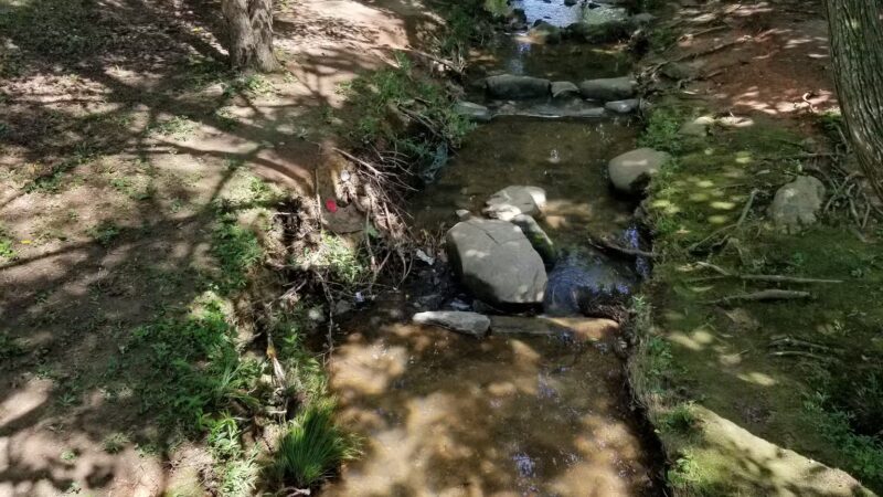 Sedgefield Park - Charlotte, NC