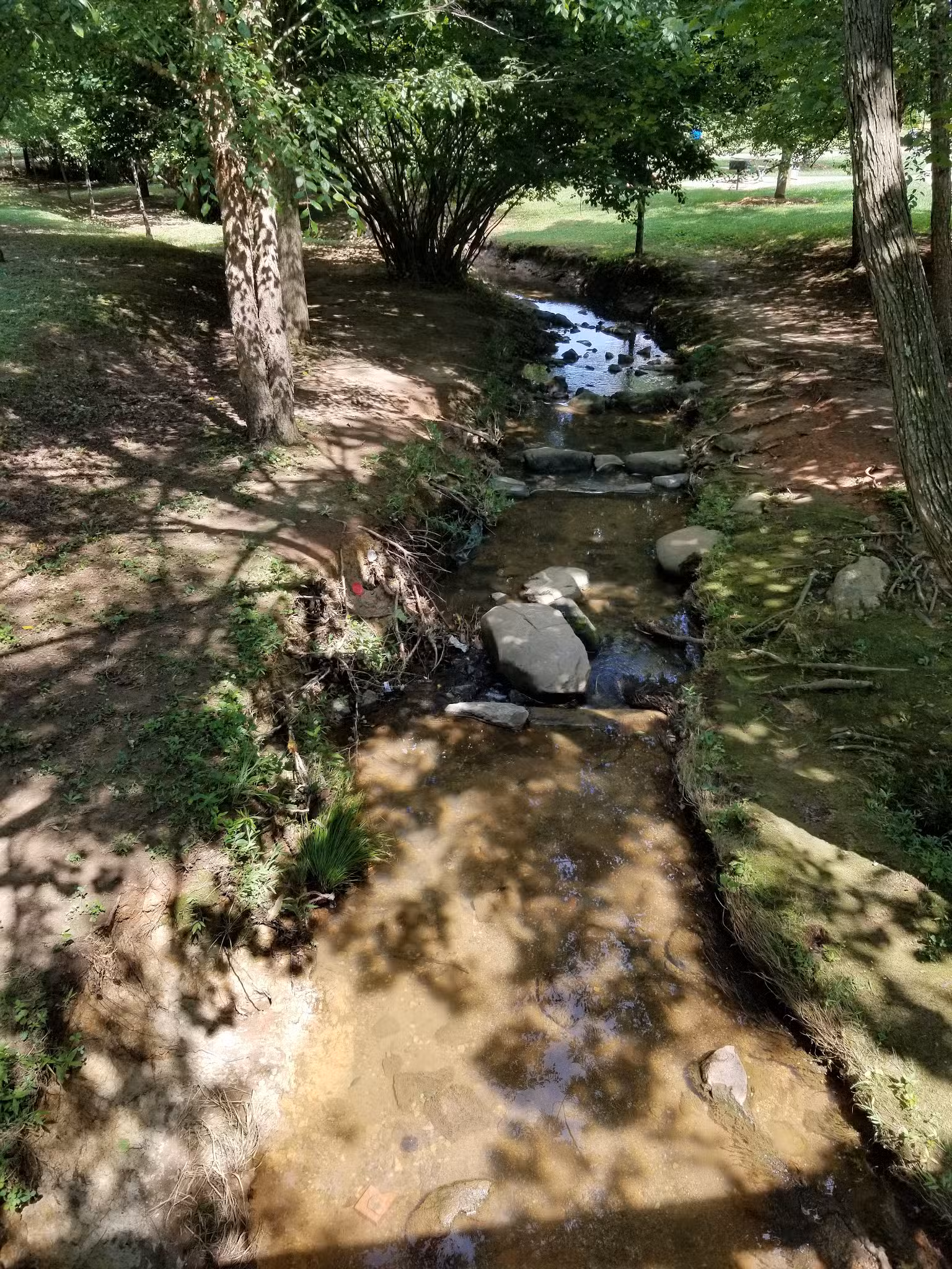 Sedgefield Park - Charlotte, NC
