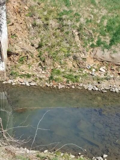 Seversville Park - Charlotte, NC