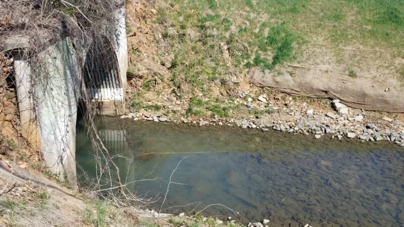 Seversville Park - Charlotte, NC