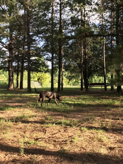 Shuffletown Park - Charlotte, NC